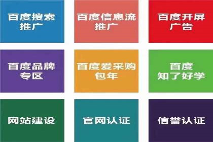 案例研究：SEM开户助力电商快速崛起